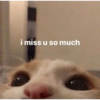 i miss u so much