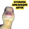 UYUSANA
ARKADAŞIM
ARTIK
