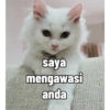 Yukki - kucing tengil pt.1 7
