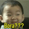 Bora???