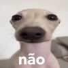 Memes de humor duvidoso 10
