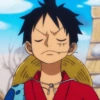 Monkey d. luffy 13