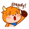 Steady!