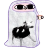 Ketnipz tapadito 17