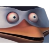 Los pingüinos de Madagascar 13