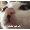 ola te extraño