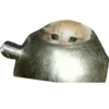Sad Cats 5