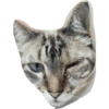 O gato chateado 7