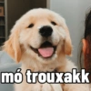 TU É MÓ BURRÃO😂/manda pros amg 9
