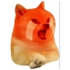 Kocheng&doge slebewww 14