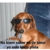 No kiero saber na de amor
yo solo kiero plata