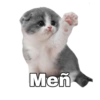 Men