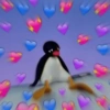 Pingu 🐧 26