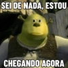 SHREK DIFERENCIADO 🤣 13