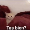 Tas bien?