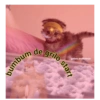 Gatos.anonimos 6