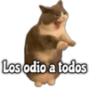 Memes Misceláneos 2⭐ 17