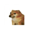 Miau miau caralho 4 9