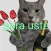 a ust