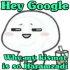 Funny Memes 21