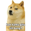 Kocheng&doge slebewww 10