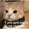 Tamo pero aveces
me caes mal