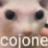 cojone
