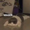 chip ung b MAGER...