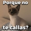 Porque no
te callas?