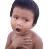 MEMES NECESSÁRIOS 14