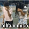 olha o mico