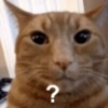 ?