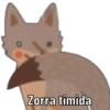 Zorra timida