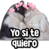 @rose.stickers1
Yo si te
YO
quiero