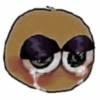 Bolas 23