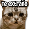 Te extraño
@rose.stickers1
