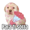 Memes de Amor Randoms 11