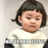 WAJAR KAH BEGITU?