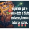 Bob cholo 8