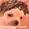 No me obliges a destuite