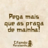 Citando Paraibanês 4 19