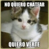 NO QUIERO CHATEAR
QUIERO VERTE