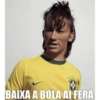 card BAIXA A BOLA AI FERA