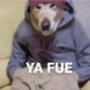 THE MOT YA FUE