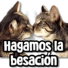 use stickers1
Hagamos la
besacion