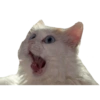 Memes Without Context 4 11