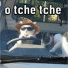 o tche tche @cats and cowboy hats