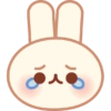 Coelhitos 11