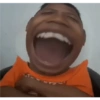 Petrik 22