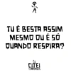 3 TU É BESTA ASSIM MESMO OU É SÓ QUANDO RESPIRA? ΕΙΤΕΙ CEARENSES